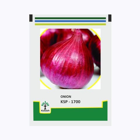 Kalash KSP 1700 Onion Seeds