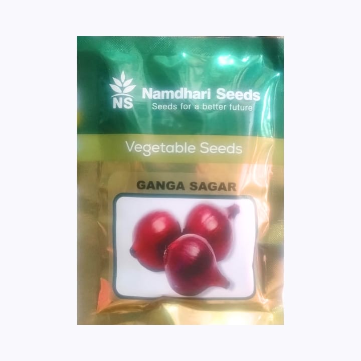 Namdhari Ganga Sagar Onion Seeds