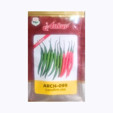 Ankur Arch-099 Chilli Seeds