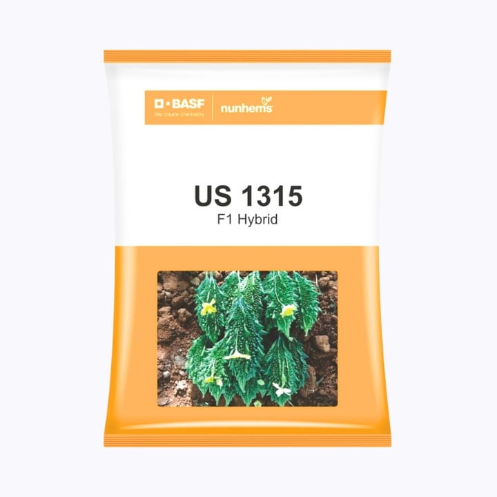 BASF Nunhems US 1315 Bitter Gourd Seeds