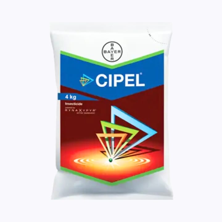 Bayer Cipel Insecticide- Chlorantraniliprole 0.4% GR