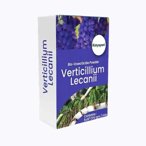 కట్యాయని Verticillium Lecanii బయో ఇన్సెక్టిసైడ్ అనేది