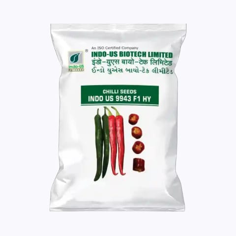 Indo-Us 9943 Chilli Seeds