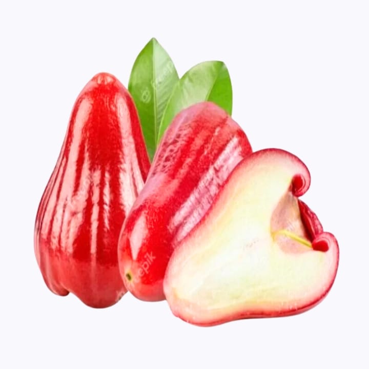 Red Water Apple Plant