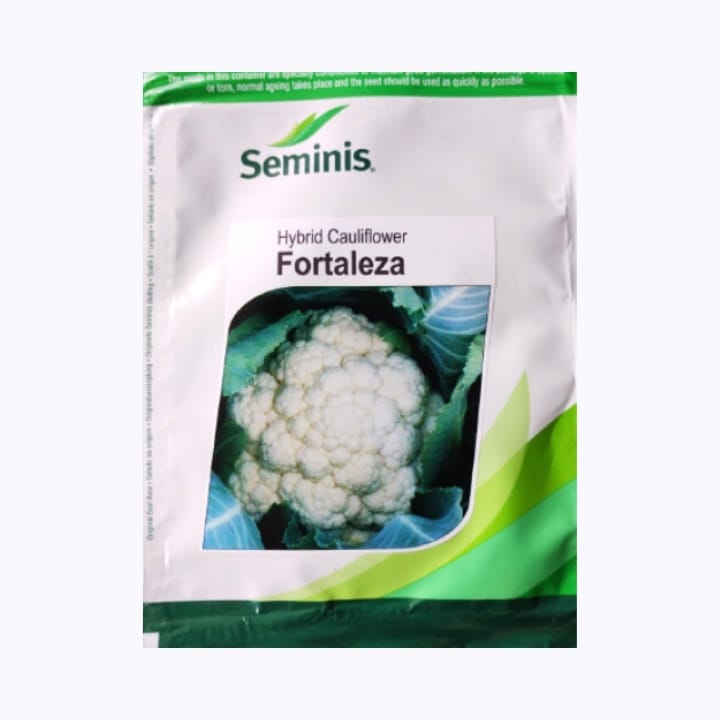 Seminis Fortaleza Cauliflower Seeds