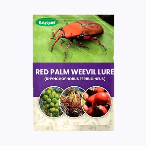 Katyayani Red Palm Weevil Lure Bucket Trap