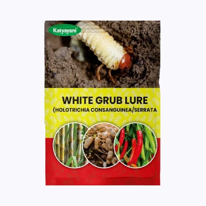 Katyayani White Grub Lure