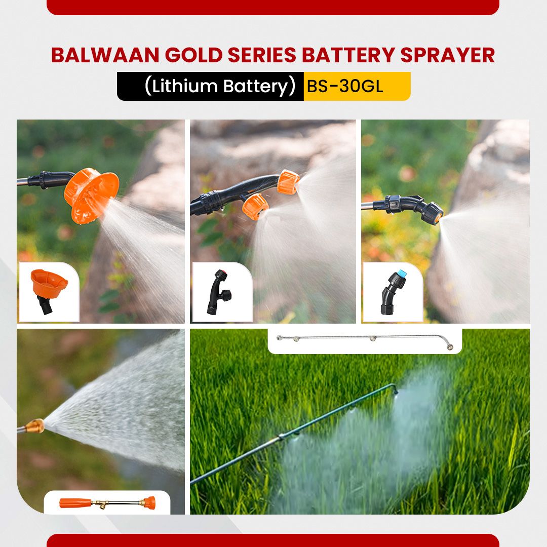 Balwaan BS 30GL (Gold Series) Battery Sprayer (Lithium Ion)