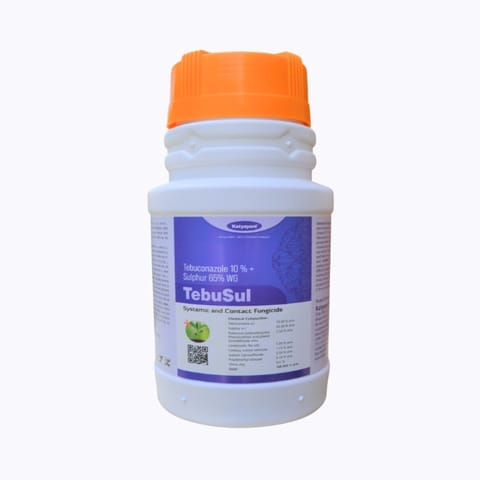 Katyayani Tebusul Fungicide- Tebuconazole 10% + sulphur 65% WG