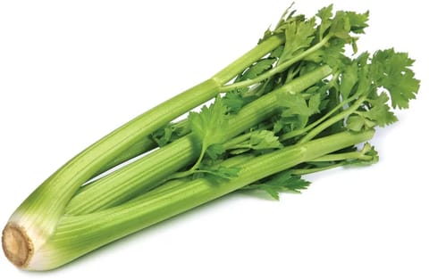 Imported Celery Seeds (350 Seeds)