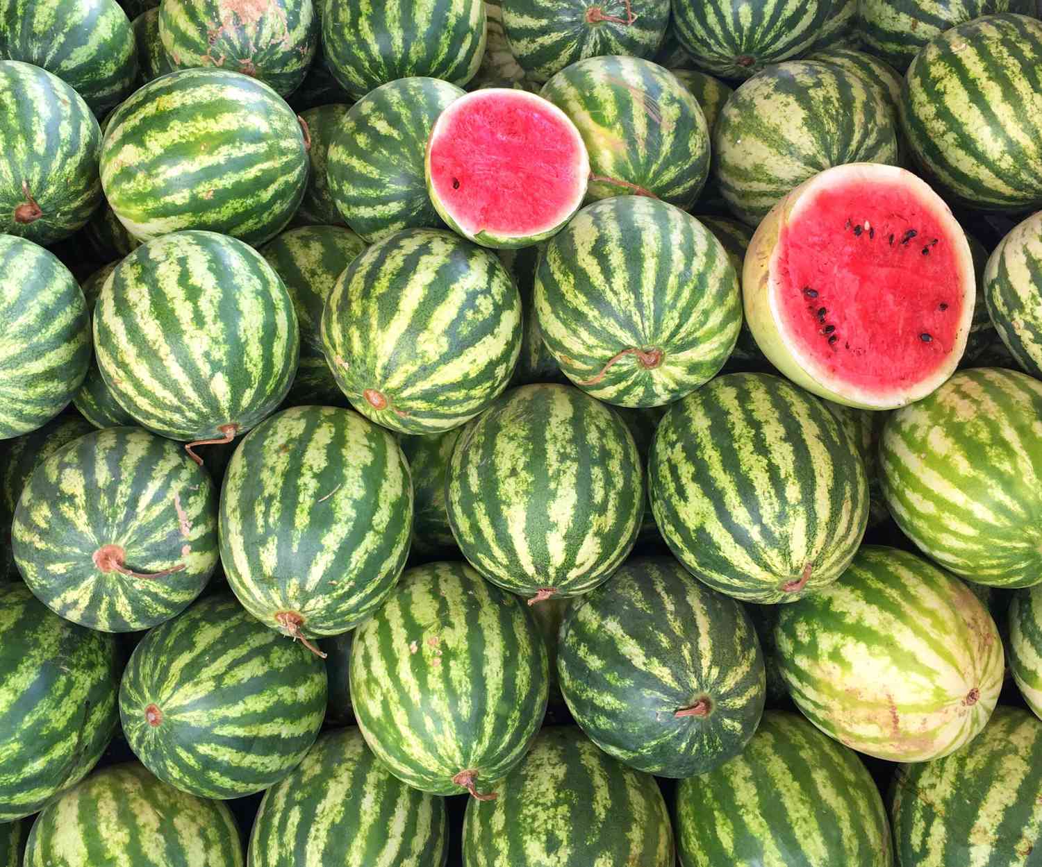 Hybrid F1 Watermelon Stripes Seeds (15 Seeds)