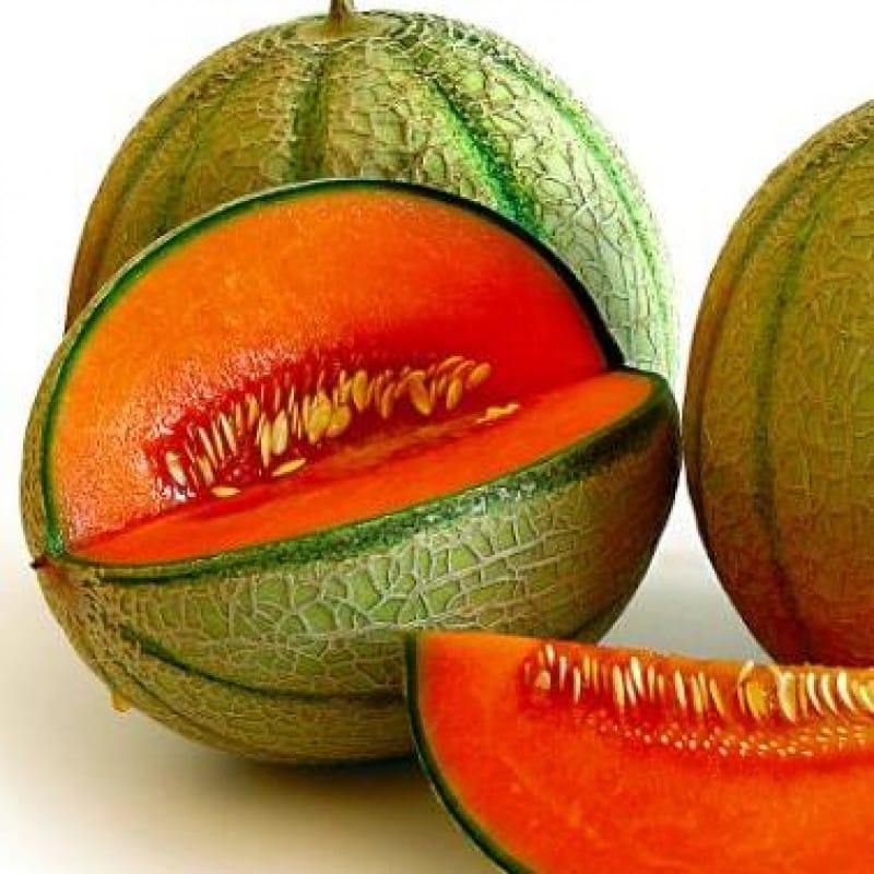 Hybrid F1 Musk Melon Seeds (15 Seeds)