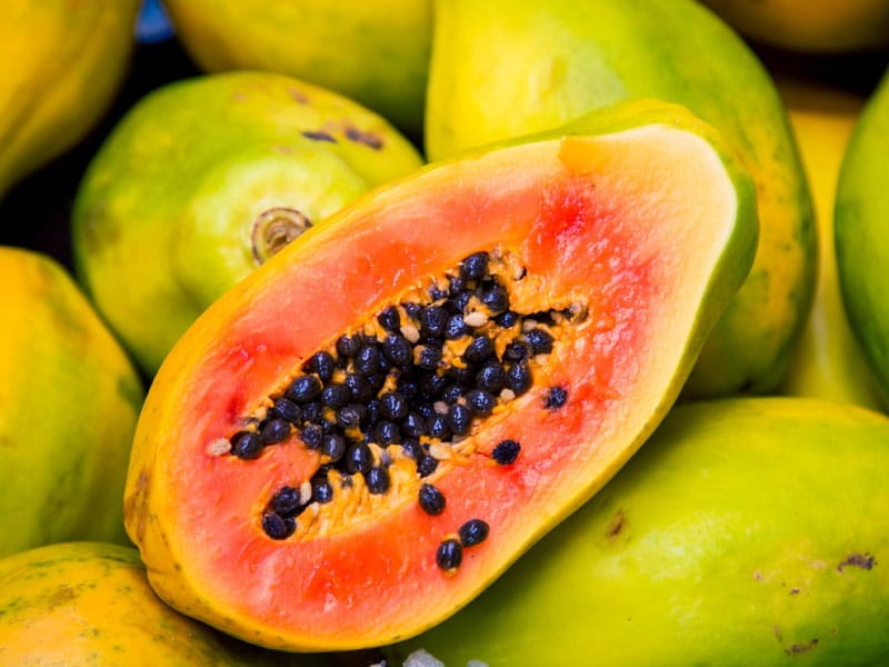 Hybrid F1 Papaya Seeds (10 Seeds)