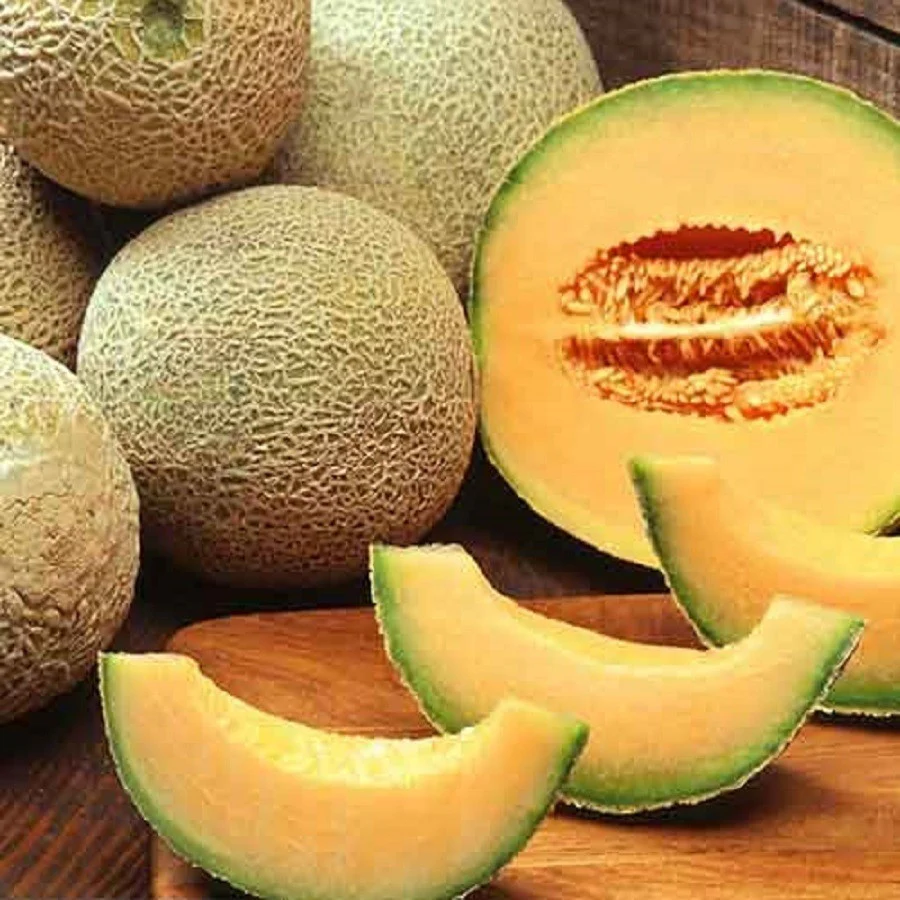 Hybrid F1 Musk Melon Seeds (15 Seeds)