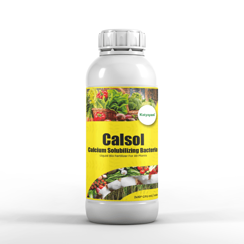 Katyayani Calsol (Calcium Solubilizing bacteria)