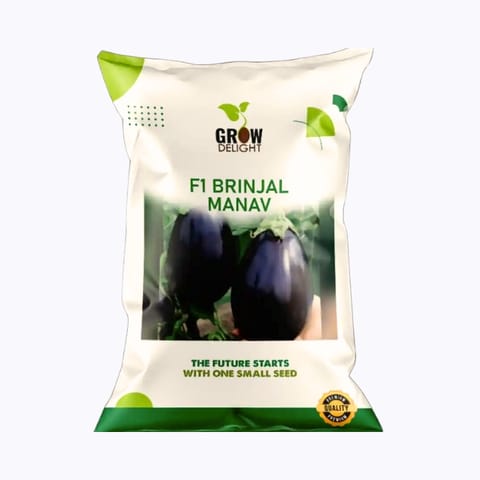 Grow Delight Manav F1 Brinjal Seeds