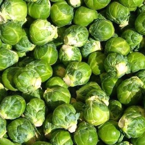 Imported Brussels Sprouts Seeds (35 Seeds)