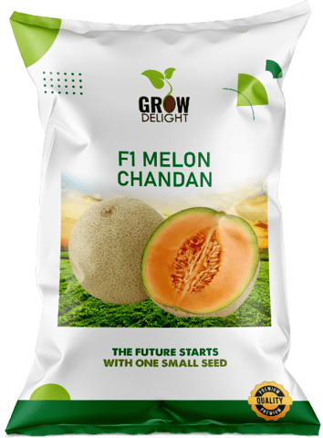 Grow Delight F1 Melon Chandan