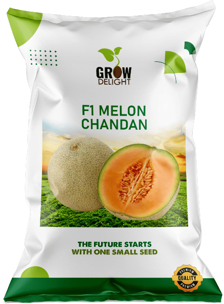 Grow Delight F1 Melon Chandan