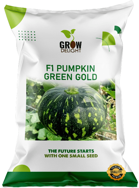 Grow Delight F1 Pumpkin Green Gold