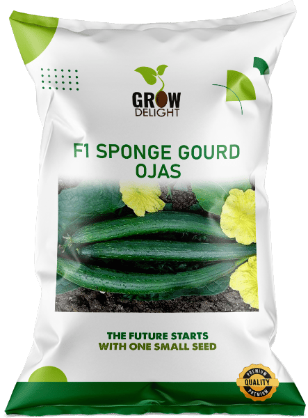 Grow Delight F1 Sponge Gourd Ojas