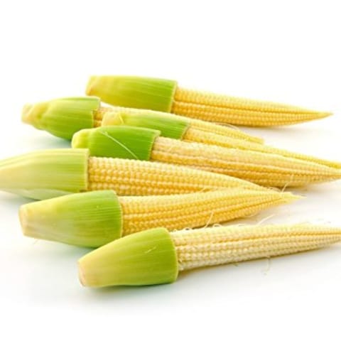 OP Baby Corn Seeds (15 Seeds)