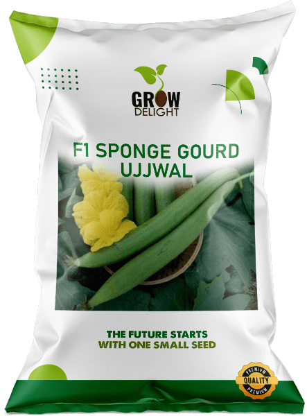 Grow Delight  Ujjwal F1 Sponge Gourd Seeds