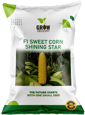 Grow Delight F1 Sweet Corn Shining Star