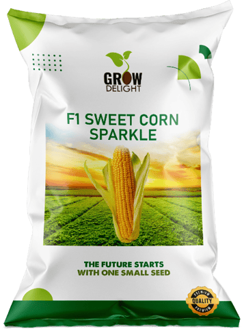 Grow Delight Sparkle F1 Sweet Corn Seeds