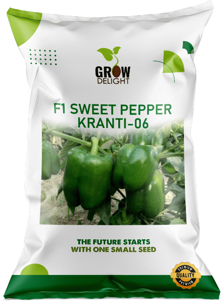 Grow Delight  Kranti-06 F1 Sweet Pepper Seeds