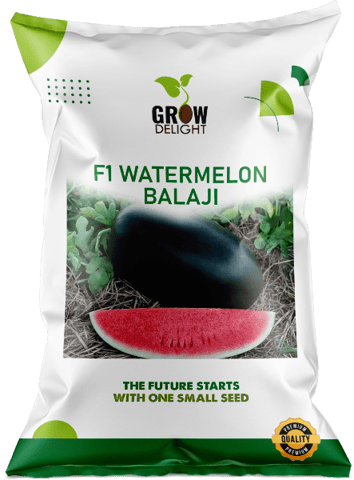 Grow Delight F1 Watermelon Balaji