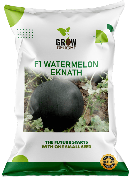 Grow Delight F1 Watermelon Eknath