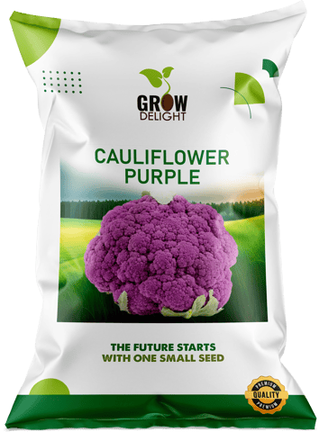 Grow Delight Purple Cauliflower Seeds