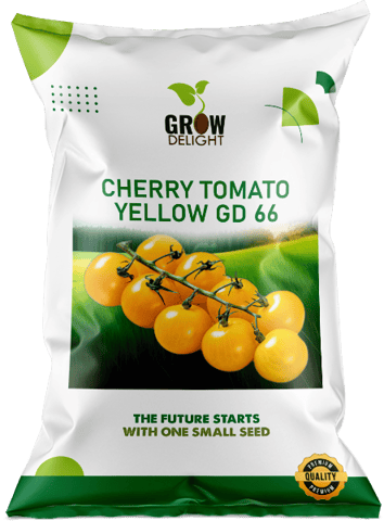 Grow Delight GD 66  Yellow  Cherry Tomato Seeds