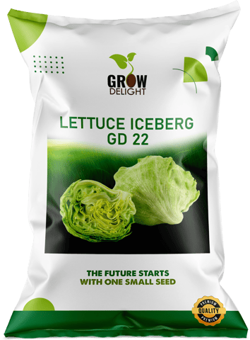 Grow Delight  Iceburg GD 22 Lettuce Seeds