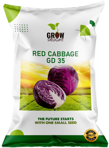 Grow Delight GD 35 Red Cabbage Seeds