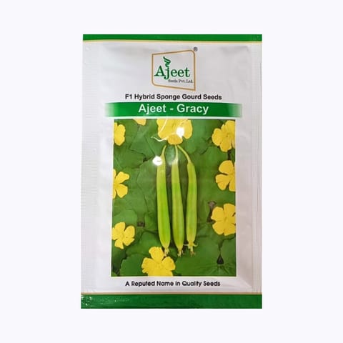 Ajeet Gracy Sponge Gourd Seeds