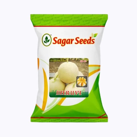 Sagar Dhruvi F1 Muskmelon (25g)