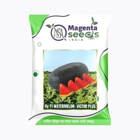 Magenta Victor Plus Watermelon Seeds