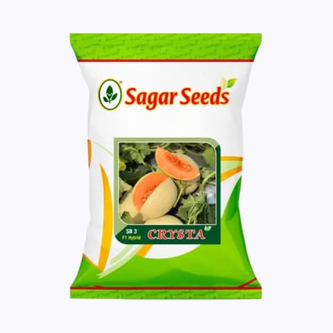 Sagar Madhurain F1 Muskmelon (25g)