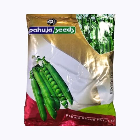 Pahuja Maxima -3636 Pea Seeds