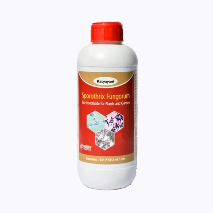 Katyayani Sporothrix Fungorum Bio-Insecticide