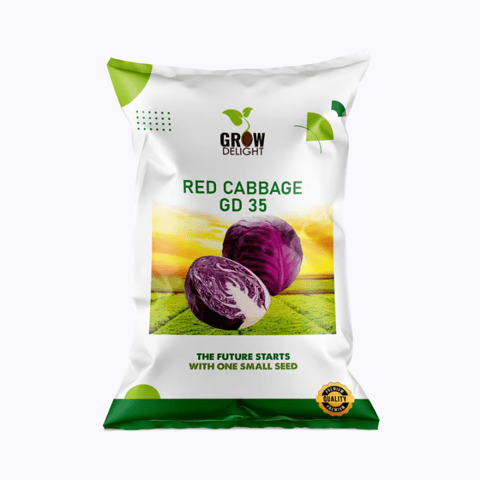 Grow Delight GD 35 Red Cabbage Seeds