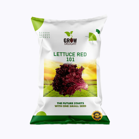 Grow Delight Red 101 లెట్యూస్ సీడ్స్