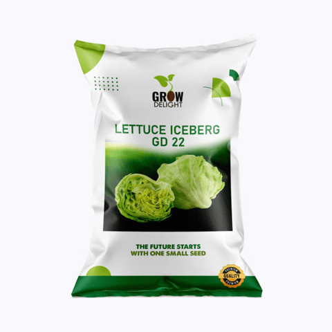 Grow Delight  Iceburg GD 22 Lettuce Seeds