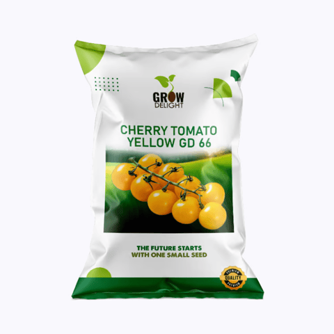 Grow Delight GD 66  Yellow  Cherry Tomato Seeds