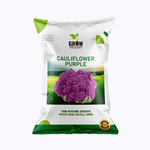 Grow Delight Purple Cauliflower Seeds