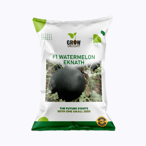 Grow Delight F1 Watermelon Eknath