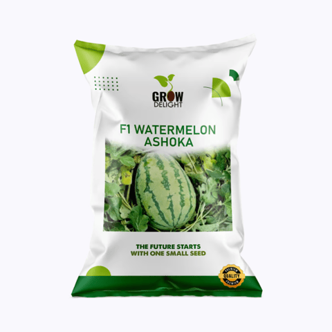 Grow Delight F1 Watermelon Ashoka