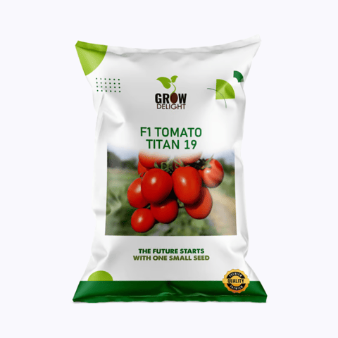 Grow Delight F1 Tomato Titan 19